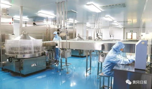 對標先進 破冰突圍 宜昌化工產業轉型升級的破局之路